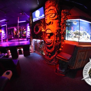 Paradise Found Club Pics